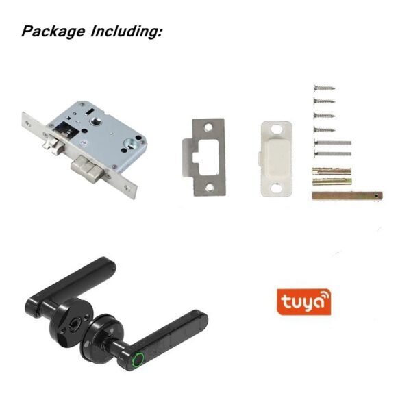Electric Door Handle set